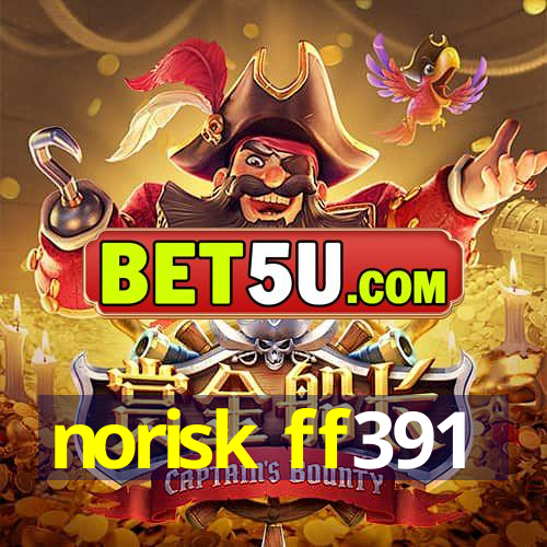 norisk ff391